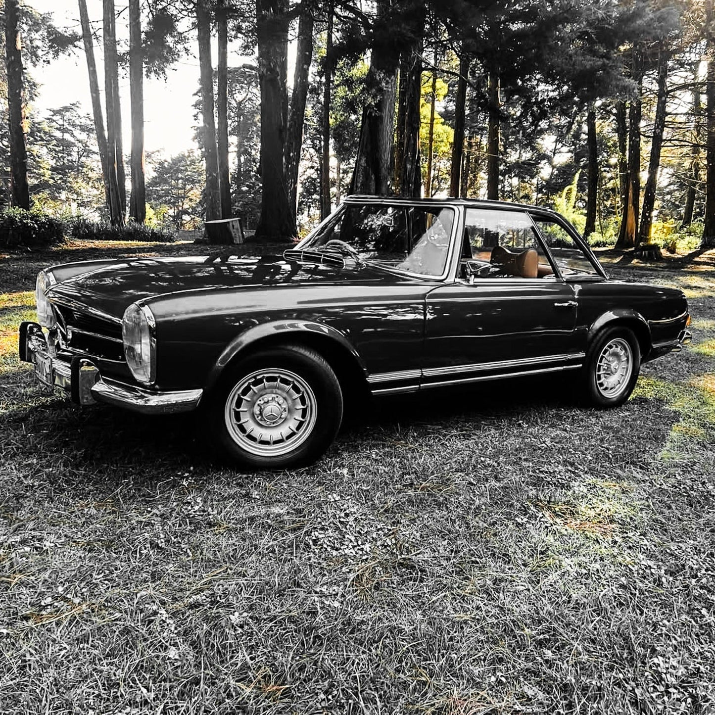 Mercedes 1966 230SL Manual [Born Again]