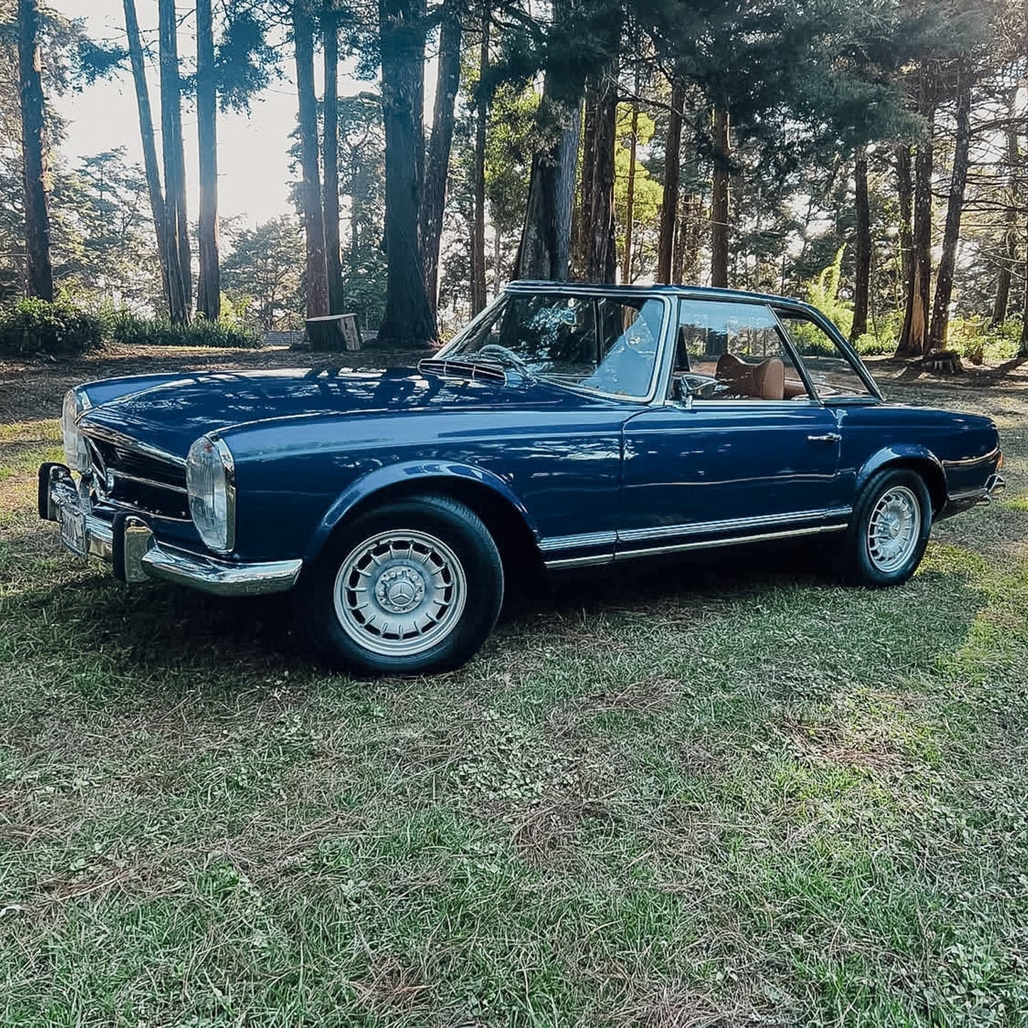 Mercedes 1966 230SL Manual [Born Again]